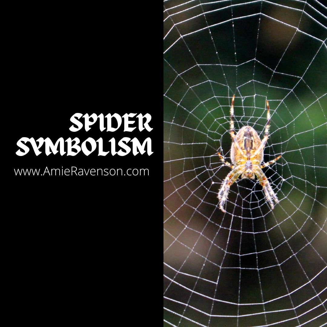 Spider Symbolism Amie Ravenson